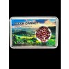 Czech Garnet (pyrope) in box – Ceske Stredohori, CZ