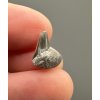 Fossil shark's tooth – Upohlavy, CZ