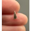Fossil shark's tooth – Upohlavy, CZ