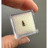 Fossil shark's tooth – Upohlavy, CZ
