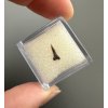 Fossil shark's tooth – Upohlavy, CZ