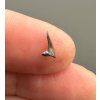 Fossil shark's tooth – Upohlavy, CZ
