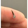 Fossil shark's tooth – Upohlavy, CZ