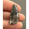 Fossil shark's tooth – Upohlavy, CZ