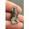 Fossil shark's tooth – Upohlavy, CZ