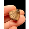 Meteorite Mundrabilla 9,8g – Nullarbor plain, Australia