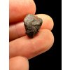 Meteorite Wabar 1,9g – Saudia Arabia