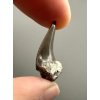 Fossil shark's tooth – Upohlavy, CZ
