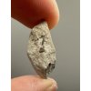 Fossil shark's tooth – Upohlavy, CZ