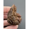 Koprolith 4,2cm – Marovato, Madagaskar, CZ