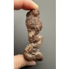 Coprolite 7cm – Marovato, Madagascar