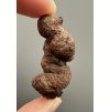 Coprolite 4,5cm – Marovato, Madagascar