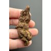 Coprolite – Marovato, Madagascar