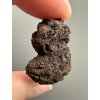 Coprolite 2,8cm – Marovato, Madagascar