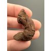 Coprolite 3,4cm – Marovato, Madagascar