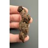 Coprolite 5,8cm – Marovato, Madagascar