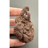Coprolite 6,7cm – Marovato, Madagascar