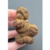 Coprolite 5,7cm – Marovato, Madagascar