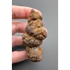 Coprolite 5,7cm – Marovato, Madagascar