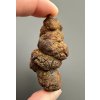 Coprolite 5,7cm – Marovato, Madagascar