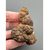 Coprolite 5,7cm – Marovato, Madagascar