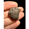 Meteorite Abadla 004 – 8,04g – Algeria