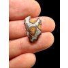 Meteorite Pallasite Imilac 0,94g / slice – Chile