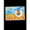 Meteorite Henbury 9,38g – Norther Territory, Australia