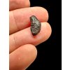 Meteorite Gibeon 1,01g – Namibia