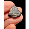 Meteorit Mundrabilla 4,16g / koncový řez – Austrálie