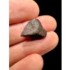 Meteorit Mundrabilla 1,7g / Endschnitt – Australien