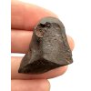 Meteorit Sikhote Alin 45,5g – Russland