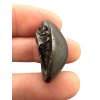 Meteorit Sikhote Alin 16g – Russland