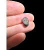 Meteorite NWA 869 – 0,8g – Northwest Africa