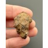 Sericho Pallasite Meteorite 15,8g – Kenya