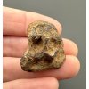 Meteorit Pallasit Sericho 15,8g – Keňa