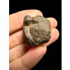 Meteorite Abadla 004 – 15,03g – Algeria
