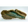Petrified opalized wood  – West Java, Indonesia