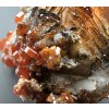Vanadinite with baryte and manganese salts – Morocco