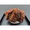 Crocoite – Chemnitz, Sachsen, Germany