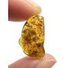 Insects in amber – Lithuania – 0,5g