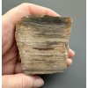 Petrified wood  – Line, CZ