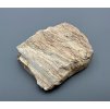 Versteinertes Holz – Line, CZ