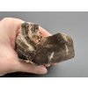 Petrified wood  – Line, CZ