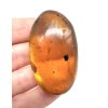 Insect in amber – Hukawng, Myanmar – 15g