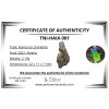 Meteorite Tni-Haia 001 – 2,19g – Algeria