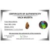 Meteorit Vaca Muerta 0,97g – Chile