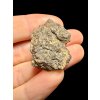 Meteorite Al Haggounia 001 – 11,42g – Western Sahara