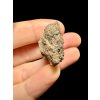 Meteorite Al Haggounia 001 – 11,42g – Western Sahara