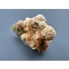 Crystal with chlorite and limonite coating, mica – Santander, Colombia
